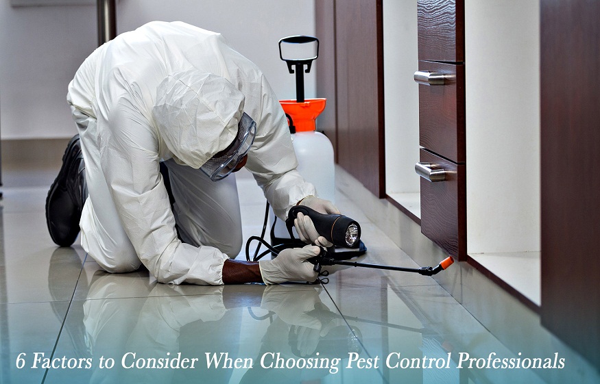 What Commercial Pest Agency Suggest to Get Rid of Mosquitoes In Offices?