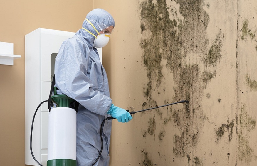 Mold Remediation in Milwaukee: Protecting Your Home from Mold Growth